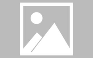肇东濮阳社交网站制作公司（濮阳社交网站制作公司电话）